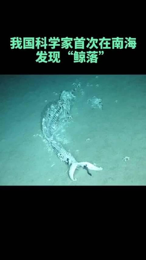 我国科学家发现极限尺寸一维铁电存储结构