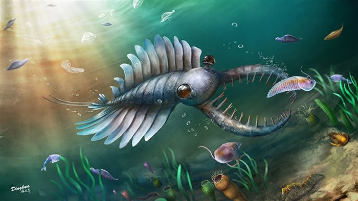 科技之眼丨素问：5亿年前的生物大灭绝藏着什么秘密？