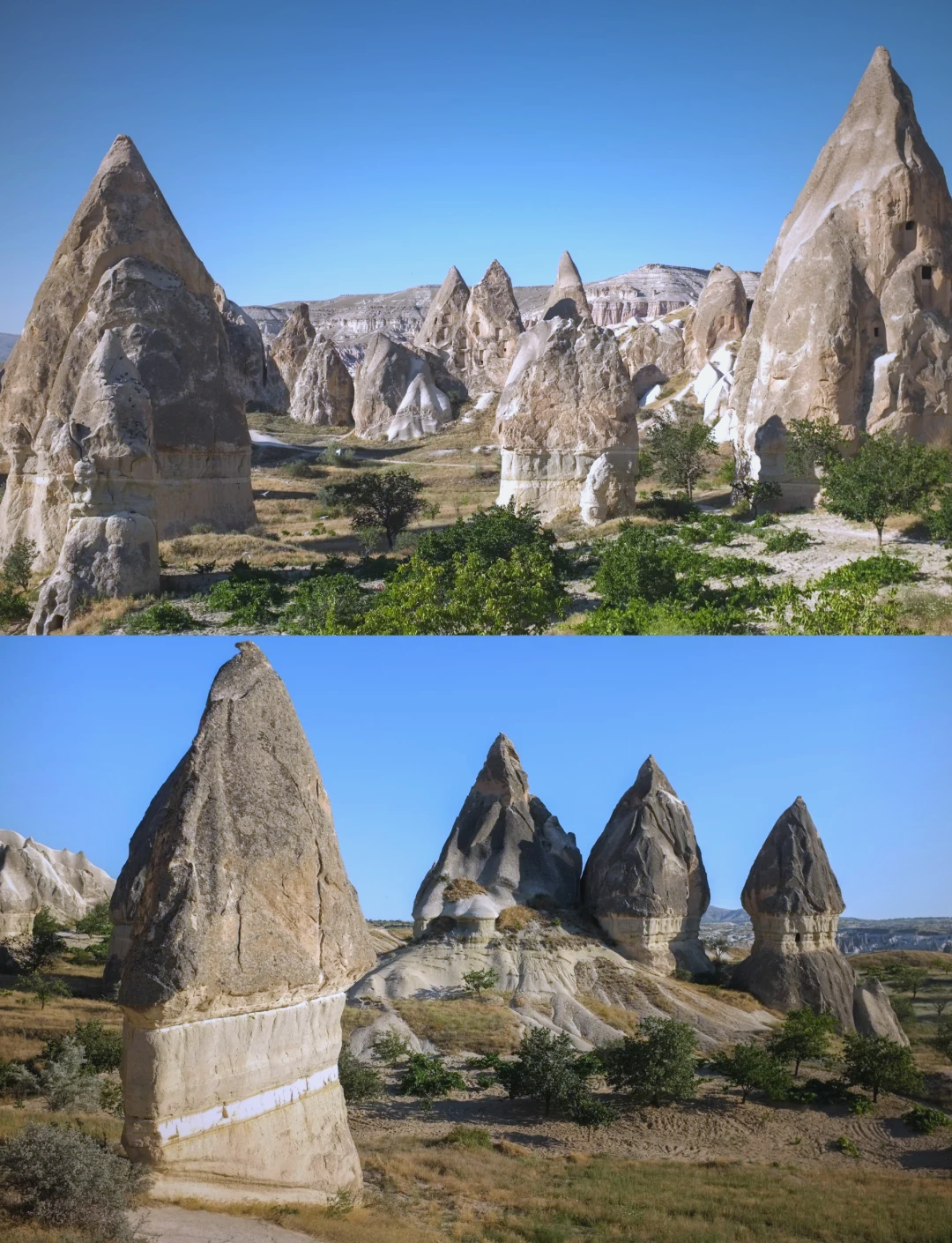 土耳其计划将与阿盟贸易额提高至1000亿美元