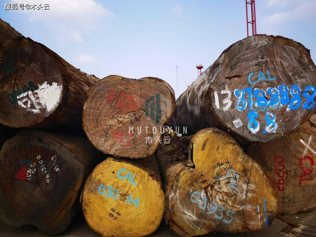 巴新将全面禁止原木出口