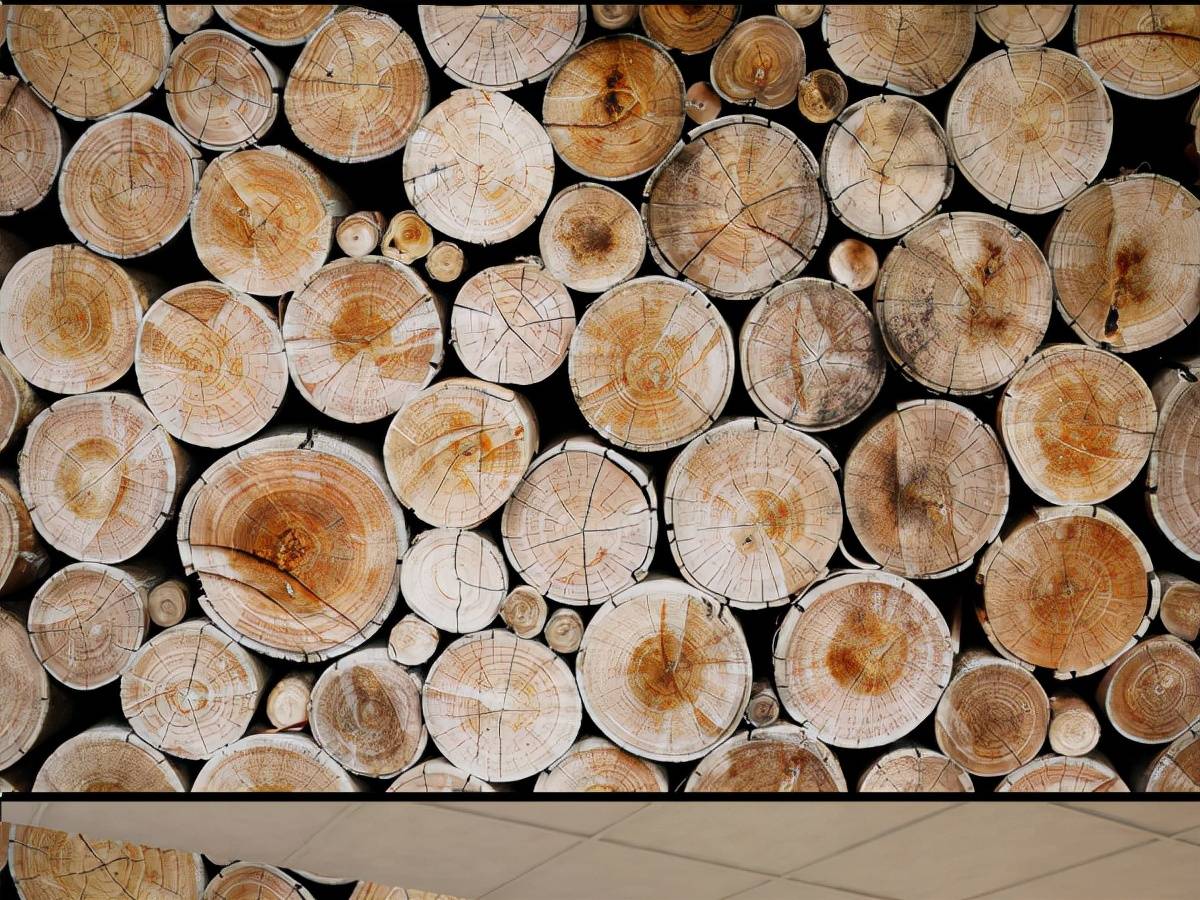 巴新将全面禁止原木出口