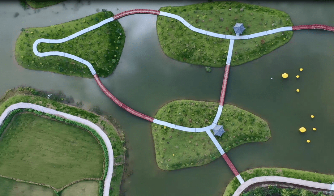 上海澳门携手搭建绿色资本桥梁 离岸绿色债券直通车正式上线