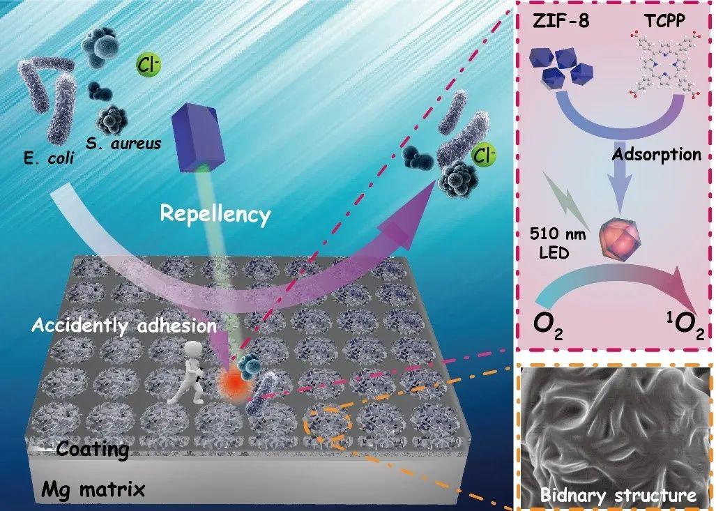 超疏水设计可使铝金属管“永不沉没”