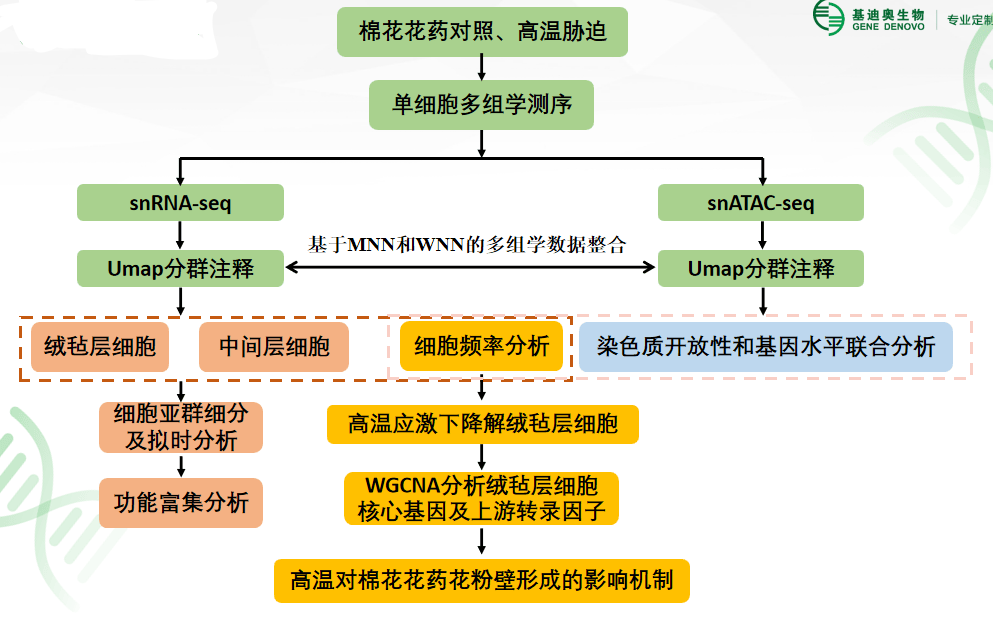 病原菌入侵植物能“自救”?中国科研人员发现菌植协同抗病机制