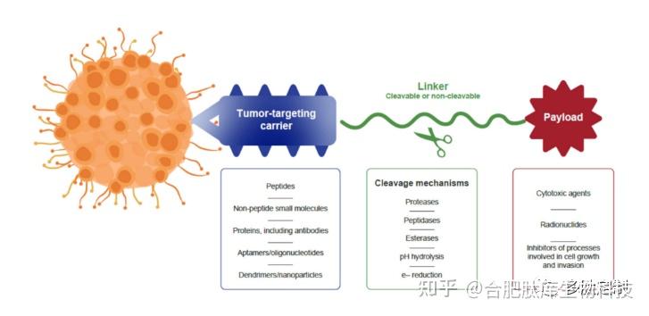 海思科公布国际专利申请：“一种配体-蛋白降解剂偶联物及其在医药上的应用”