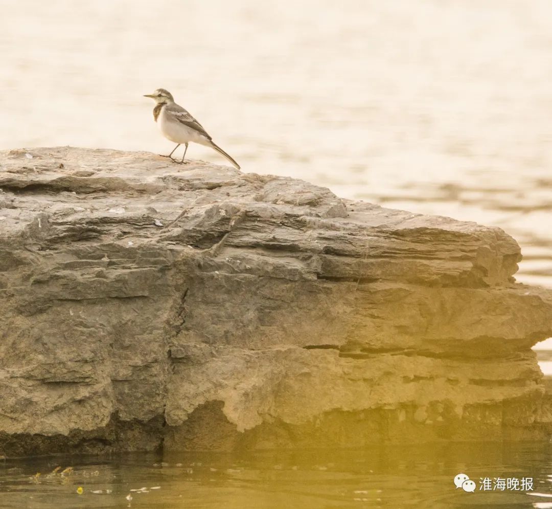 立方风控鸟·晚报（3月4日）