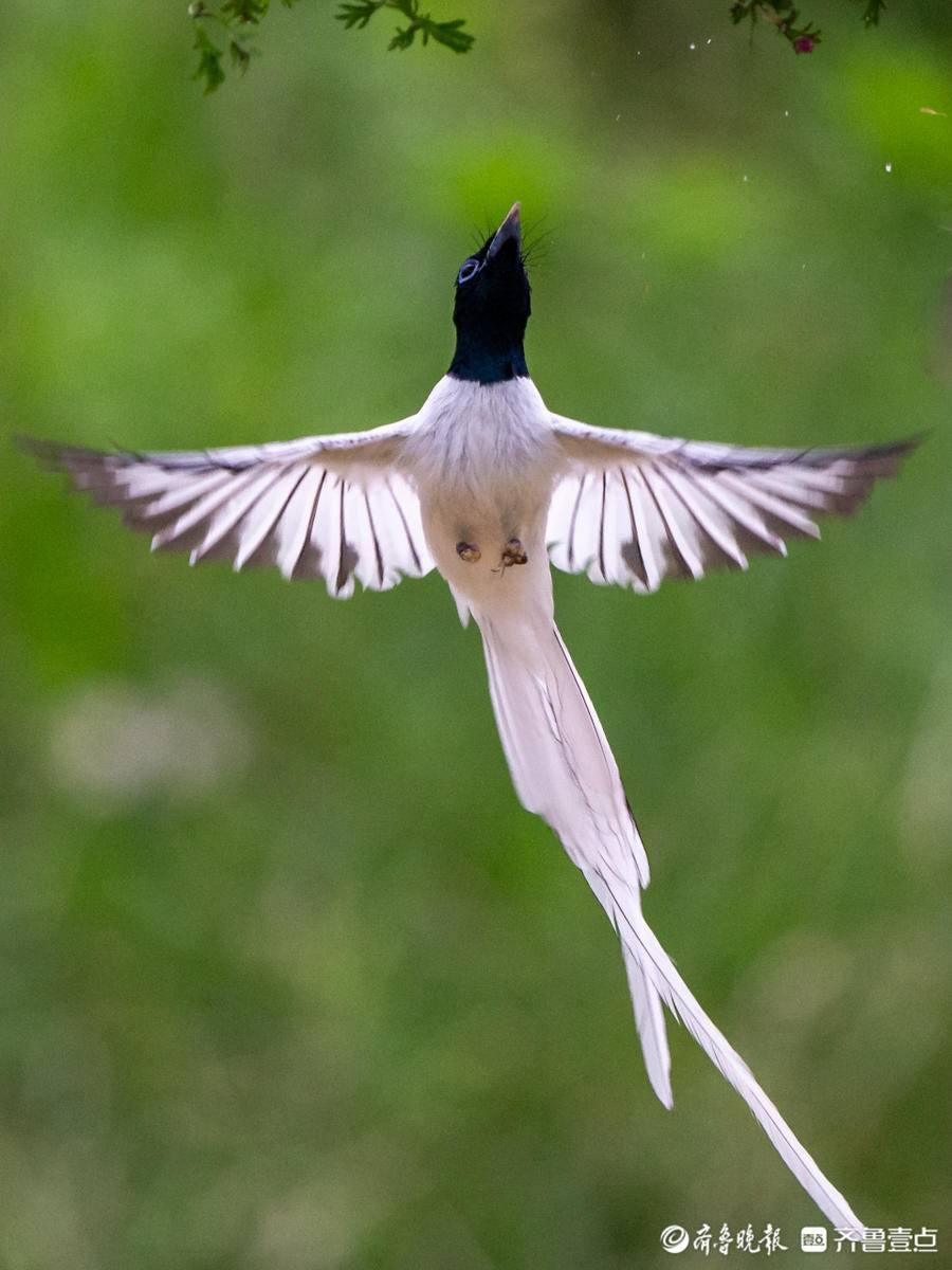 立方风控鸟·晚报（3月5日）