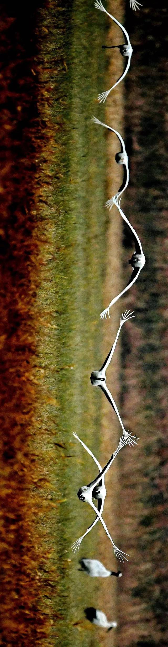 立方风控鸟·晚报(3月13日)