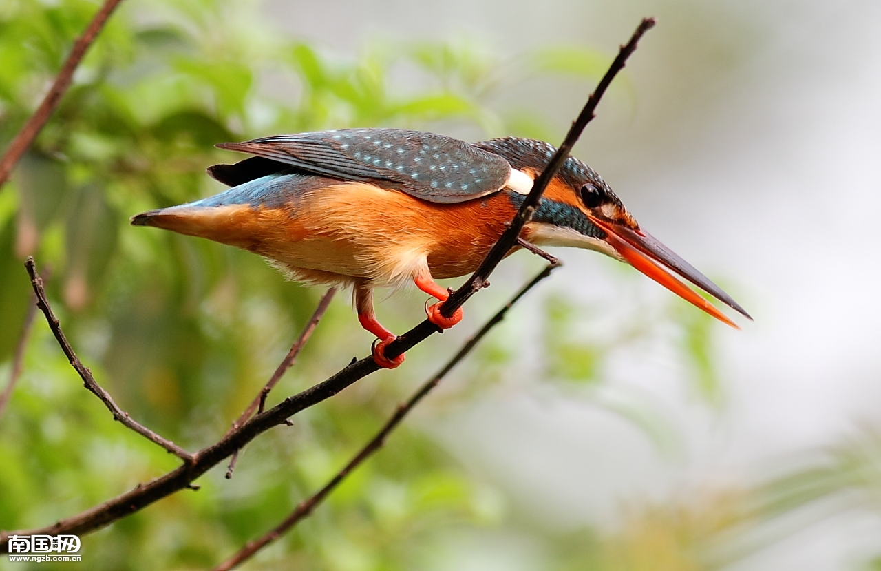 立方风控鸟·早报（3月14日）