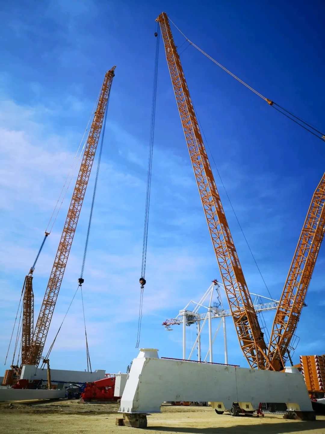 摩洛哥港口阻滞严重影响家禽业