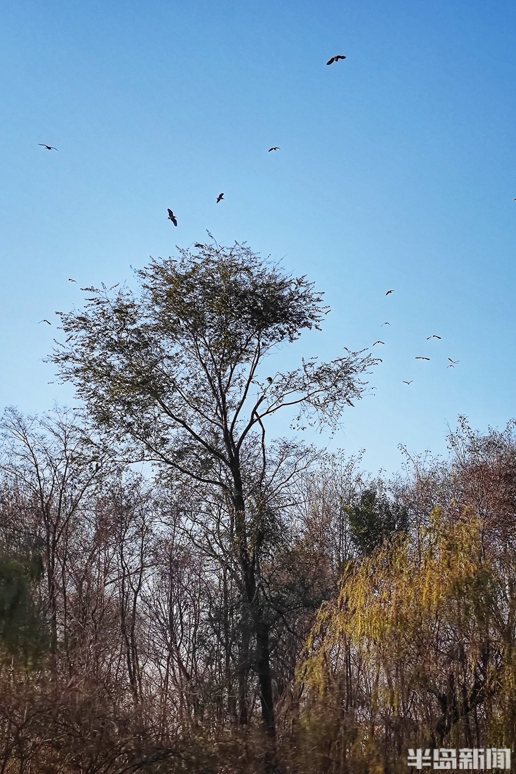 立方风控鸟·晚报（3月26日）