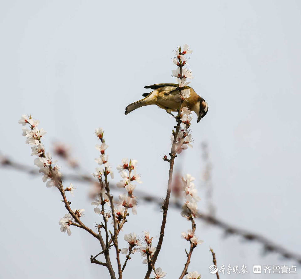 立方风控鸟·晚报（3月27日）