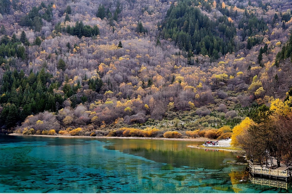 2026年清明假期自驾出行热潮 神州租车预订量翻倍增长