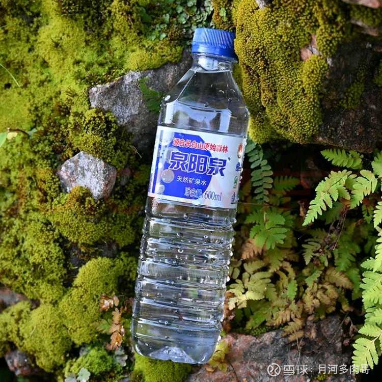 泉阳泉（600189）2025年年报简析：营收净利润同比双双增长，盈利能力上升