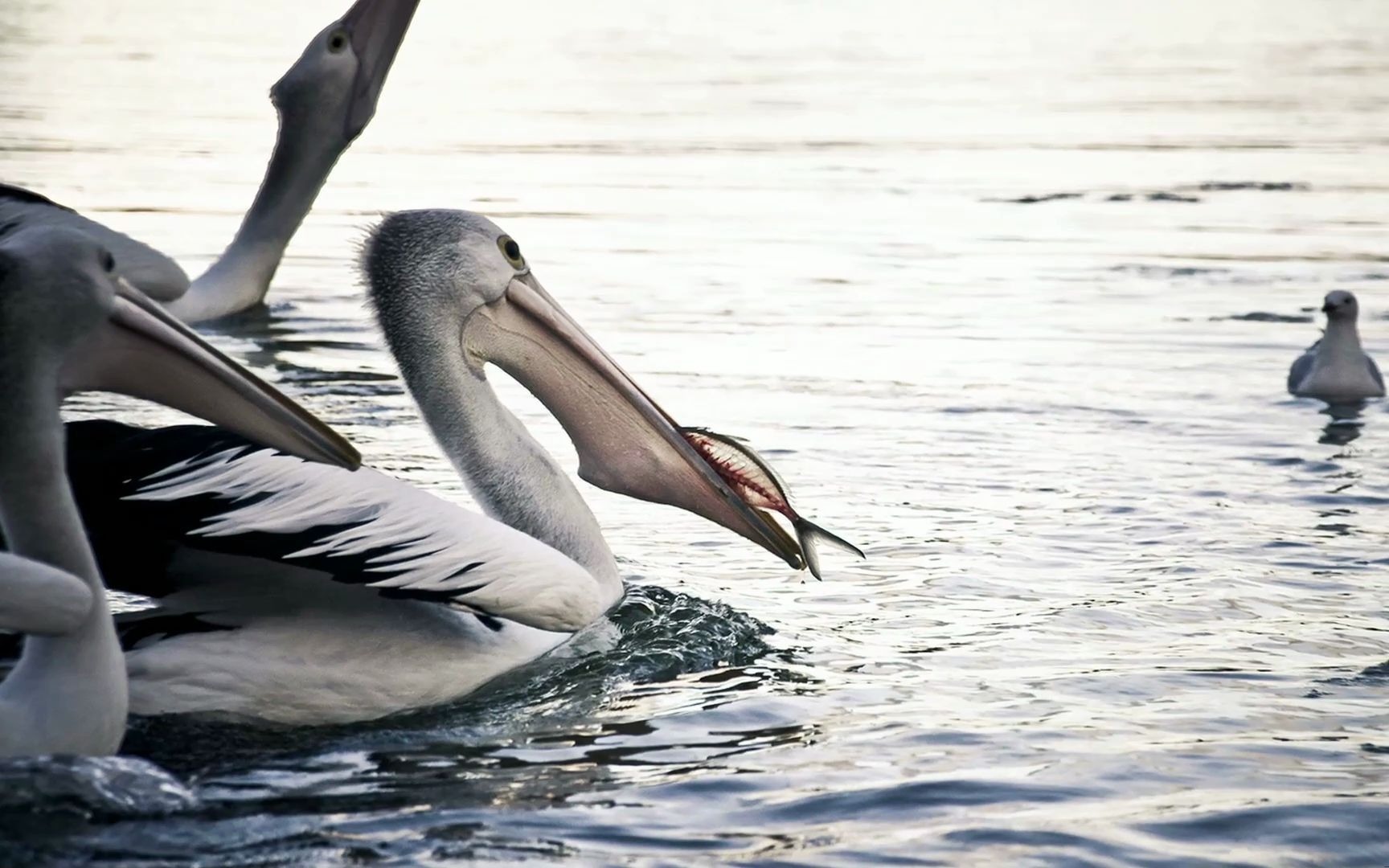 立方风控鸟·晚报（4月3日）