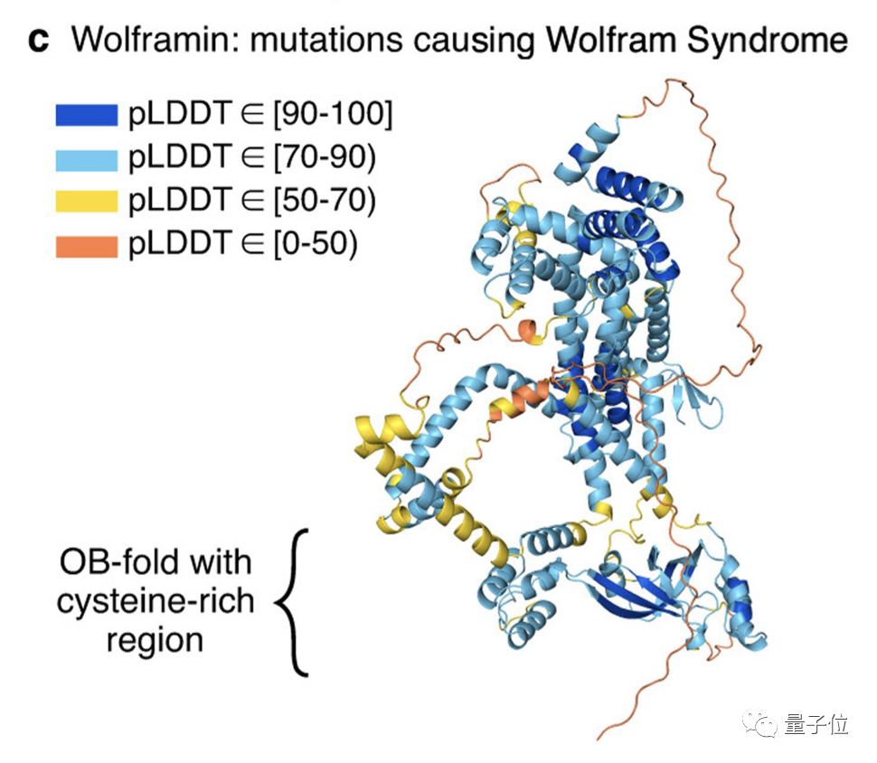 新型AI模型可通过血检识别多种神经退行性疾病