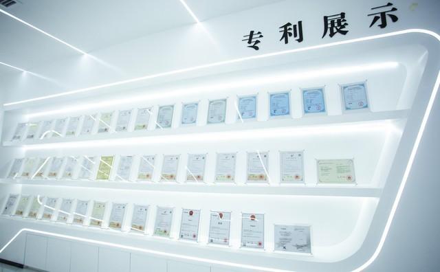 大普微获得发明专利授权:“一种闪存控制系统及其闪存设备”