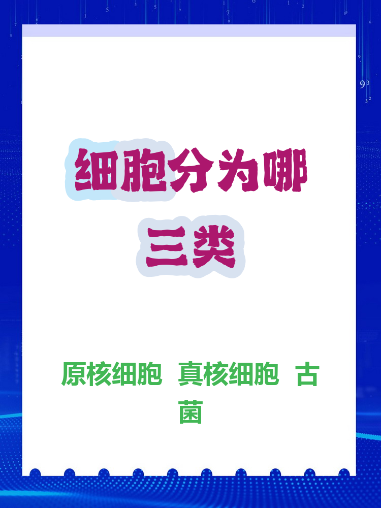37万亿时代的高质量转身：公募大厂的体系化进阶