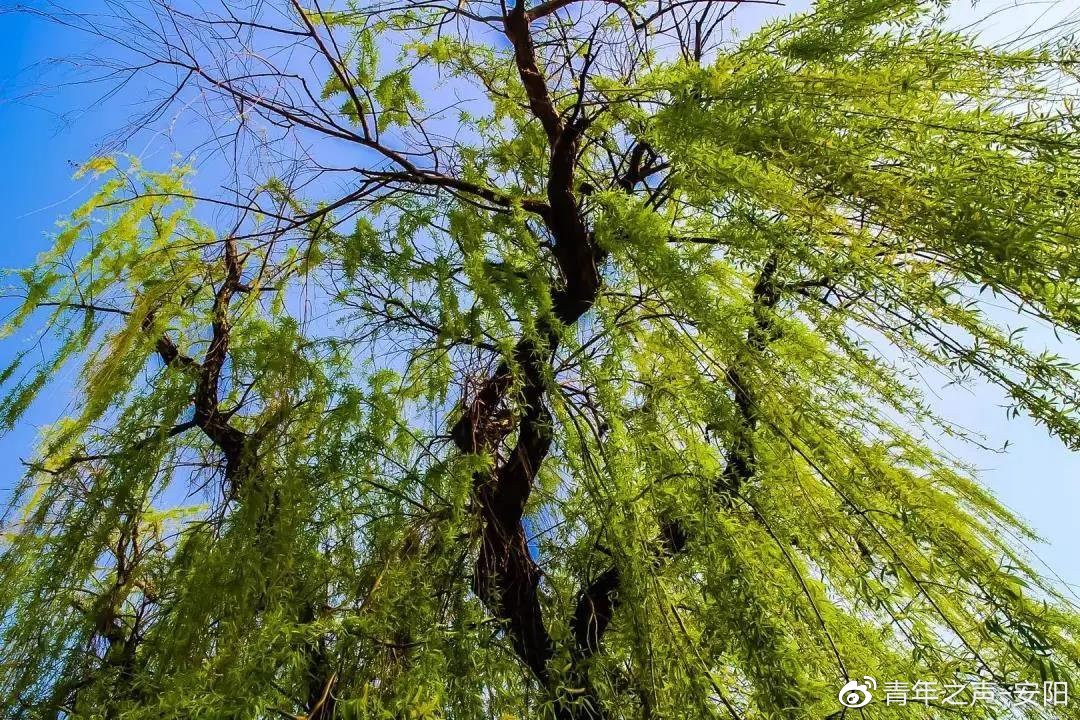 【财经分析】信用债市场春意正浓 多利好支撑行情稳健延续