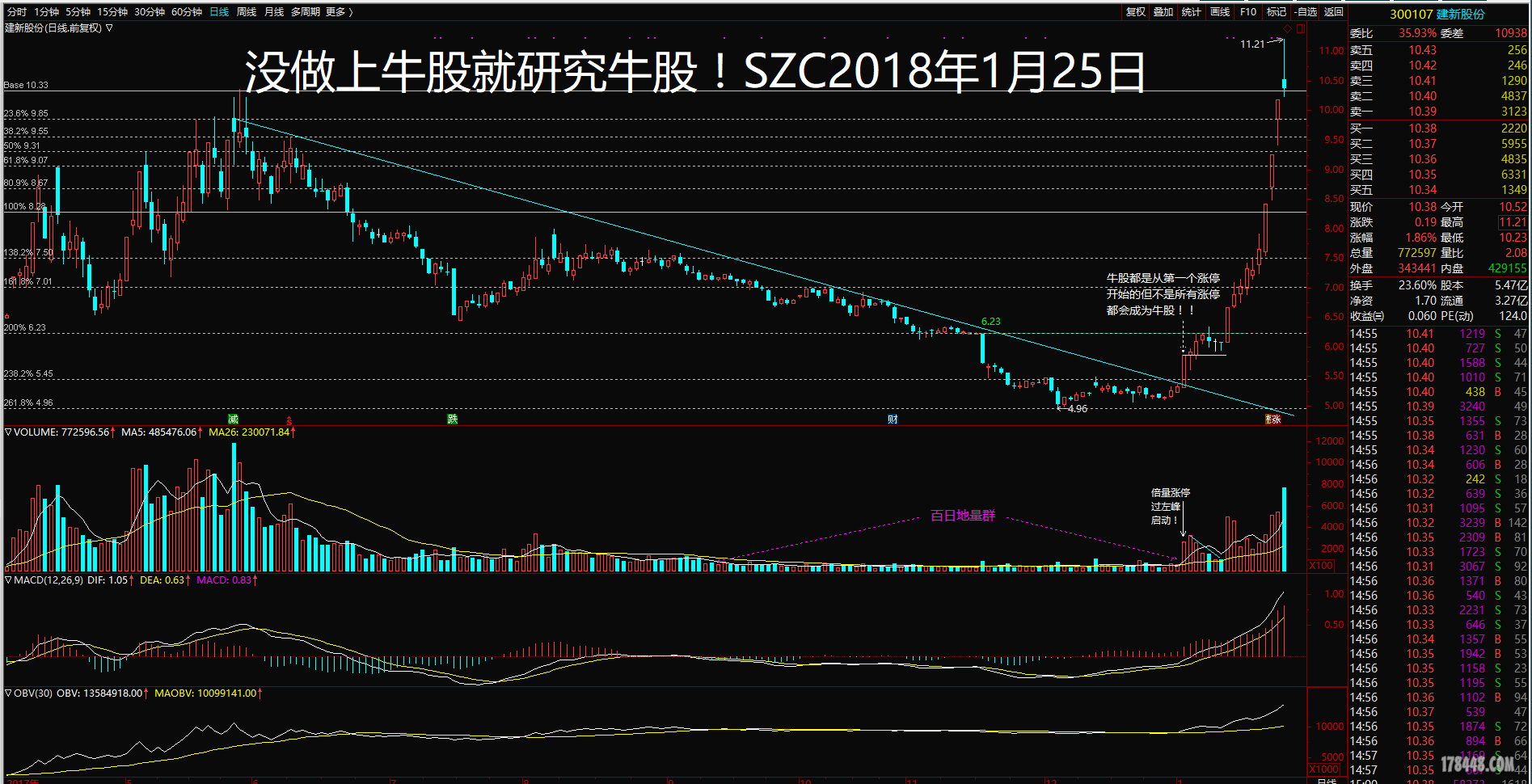 建新股份（300107）2025年年报简析：净利润同比下降243.25%
