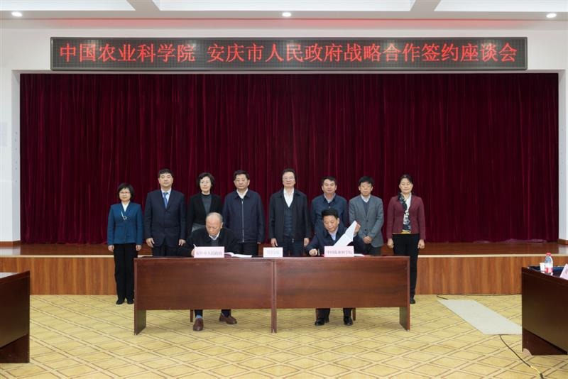 为田野插上科技的“翅膀”——南京国家农高区科技助力乡村振兴的故事