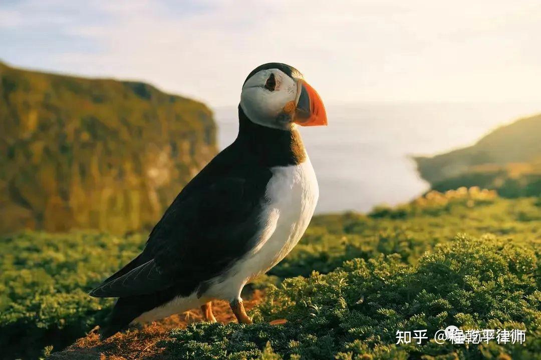 立方风控鸟·晚报（4月22日）