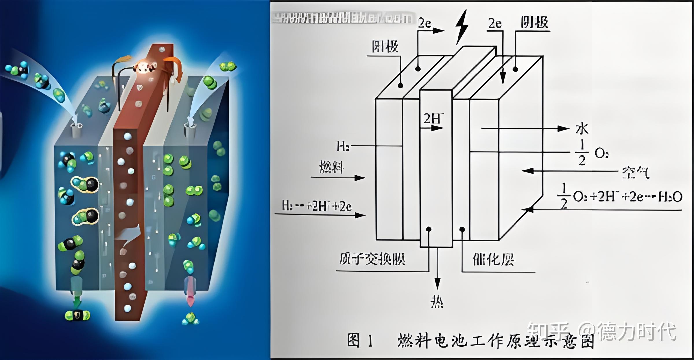 节能环境：生活垃圾有机部分焚烧转化成的能源属于生物质能范畴