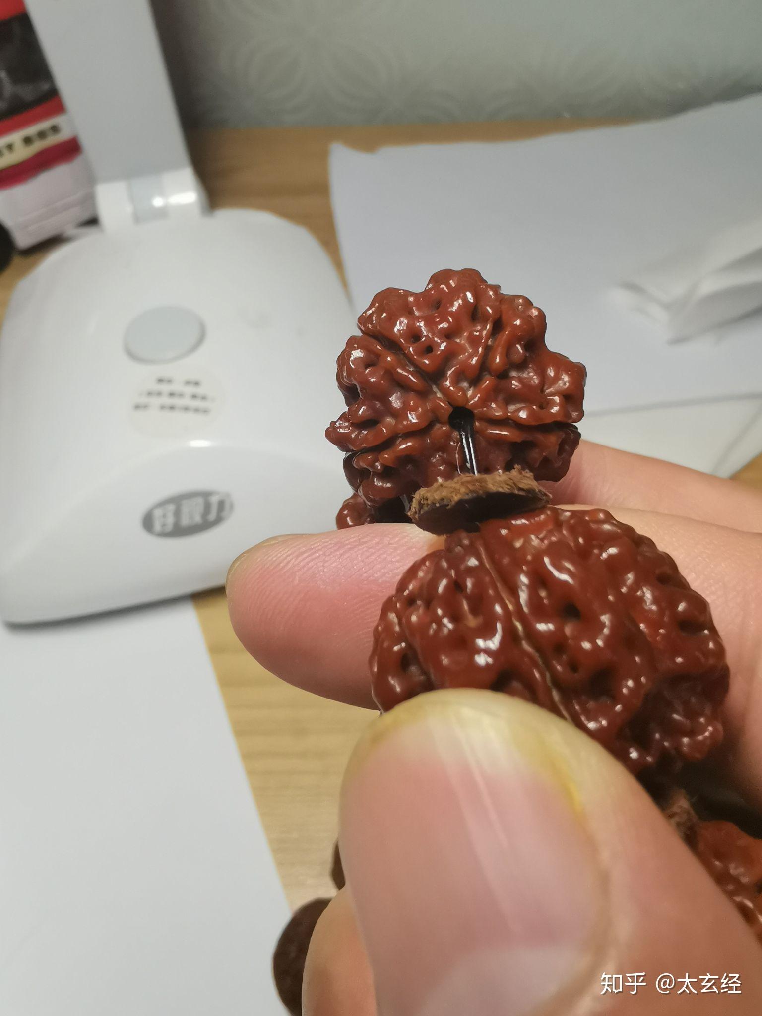 从“六小龙”到“五小凤”：同一根藤上，又一串果