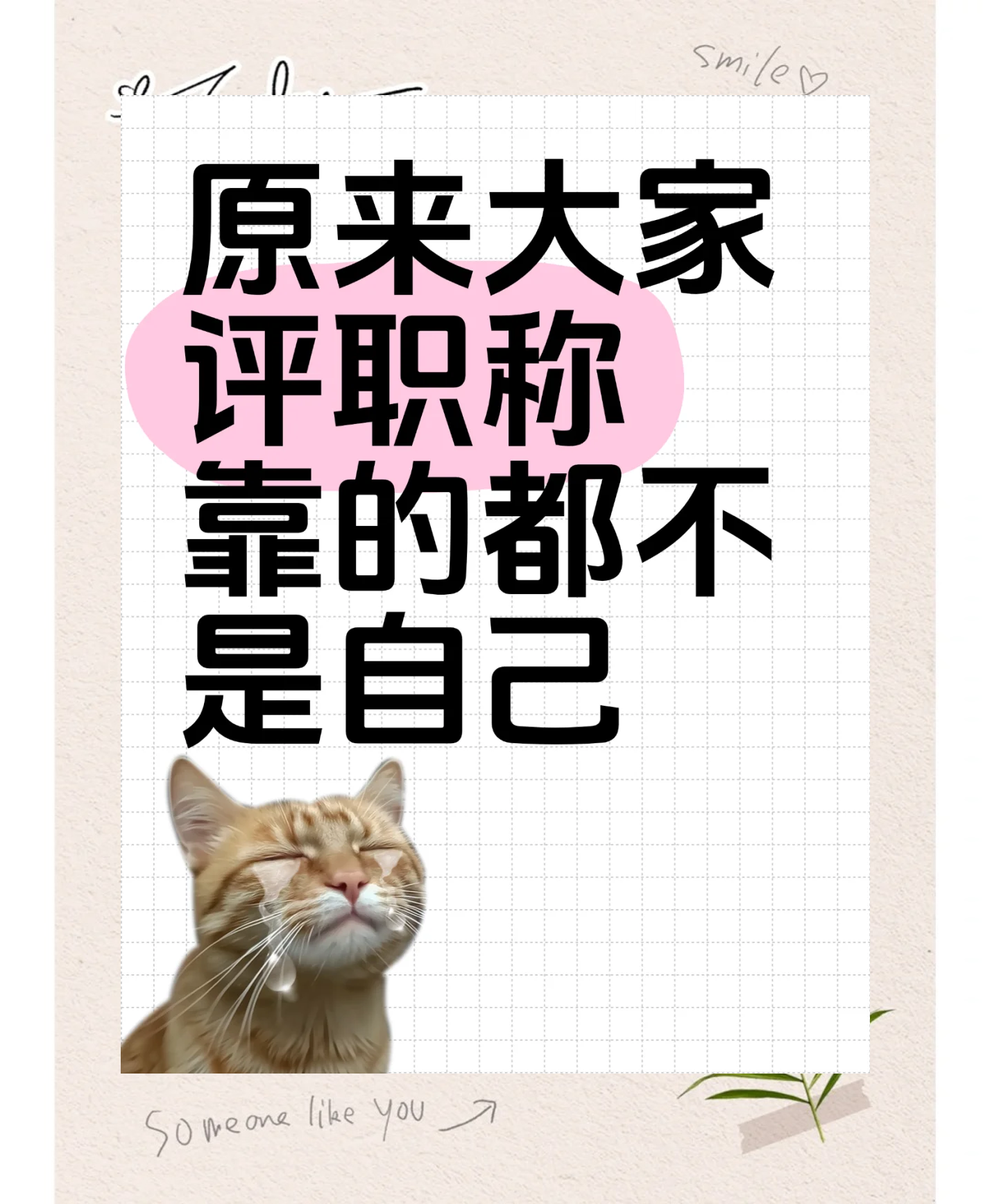央行加码呵护下债市偏强整理，资金由紧转松激活短端修复 | 机构要评