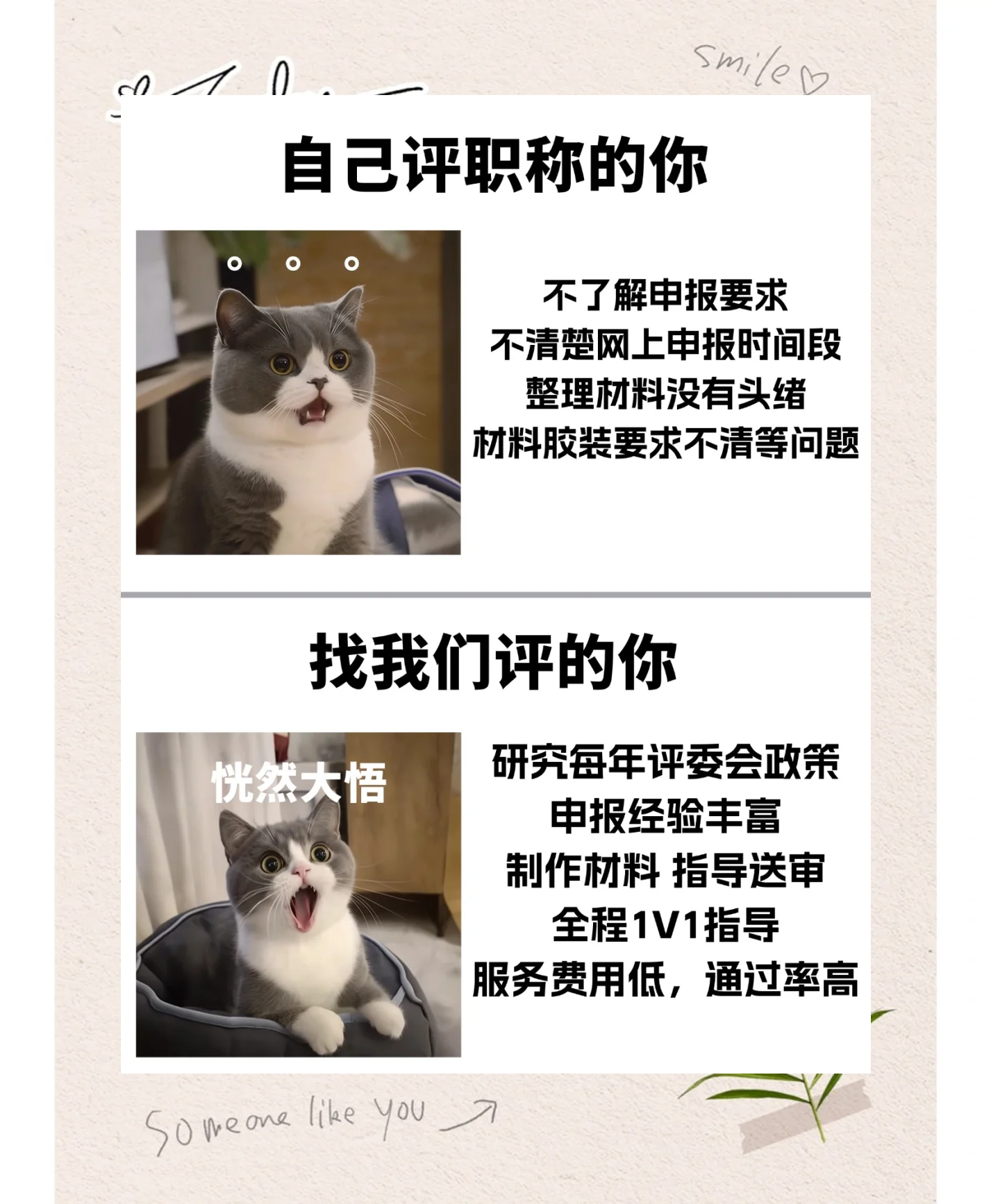 央行加码呵护下债市偏强整理，资金由紧转松激活短端修复 | 机构要评
